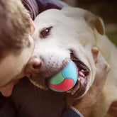 Indestructible Rubber Dog Ball