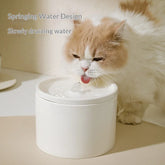 Automatic Pet Water Dispensers